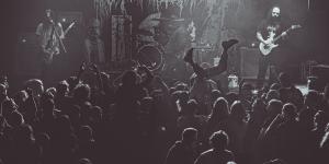 zdjęcie-23296