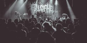 zdjęcie-23304
